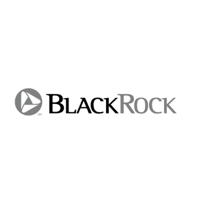 Blackrock Logo - Apex Assembly