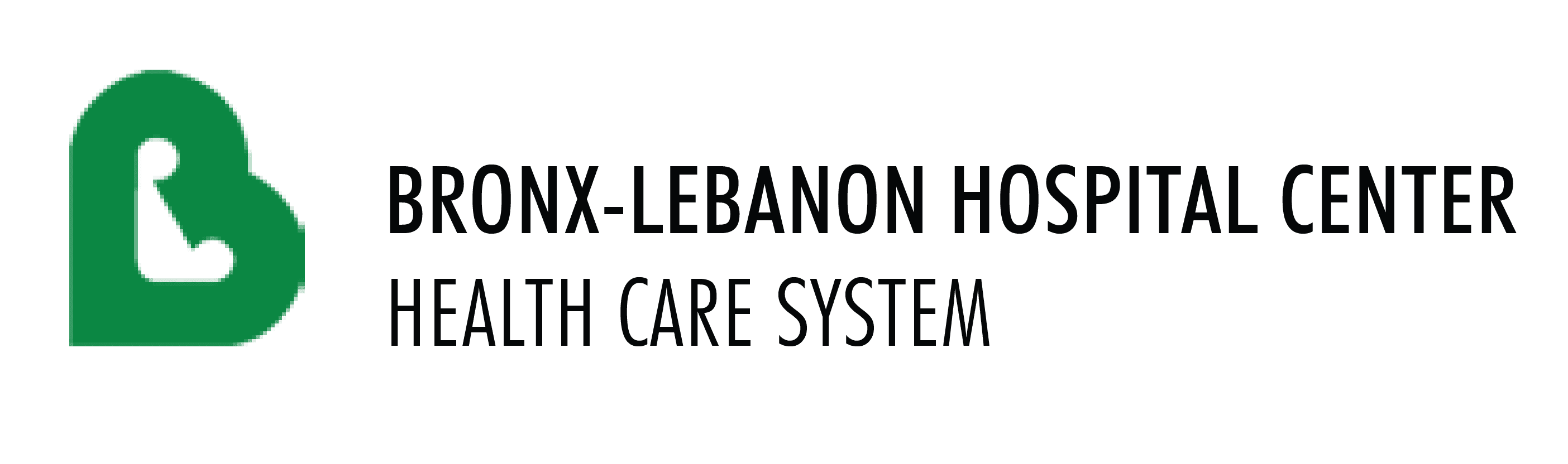 bronx lebanon
